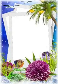 Fotoefect din categoria Vară № 124280