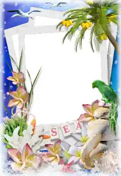 Fotoefect din categoria Vară № 124282