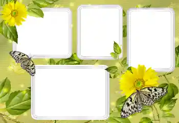 Fotoefect din categoria Vară № 131450 Fotoefect din categoria Vară № 131450