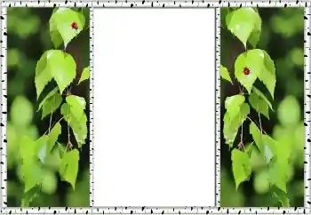 Fotoefect din categoria Vară № 132875 Fotoefect din categoria Vară № 132875