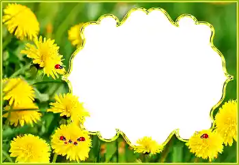 Fotoefect din categoria Vară № 132994 Fotoefect din categoria Vară № 132994