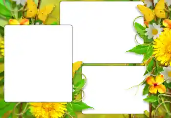Fotoefect din categoria Vară № 138523 Fotoefect din categoria Vară № 138523