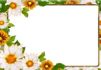 Fotoefect din categoria Vară № 138646 Fotoefect din categoria Vară № 138646