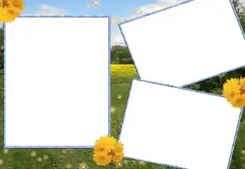 Fotoefect din categoria Vară № 13915