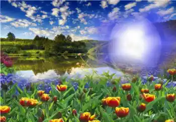 Fotoefect din categoria Vară № 13960