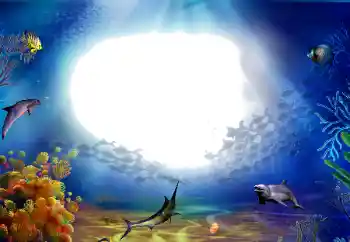 Fotoefect din categoria Vară № 142470
