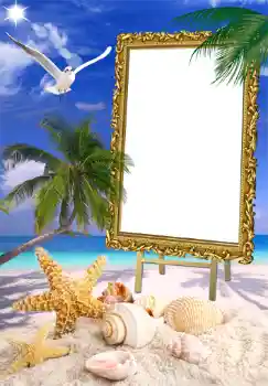 Fotoefect din categoria Vară № 1471