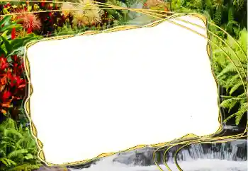 Fotoefect din categoria Vară № 14917