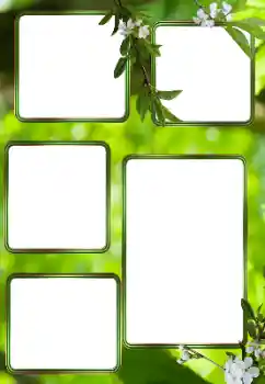 Fotoefect din categoria Vară № 153242 Fotoefect din categoria Vară № 153242