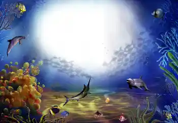 Fotoefect din categoria Vară № 1560