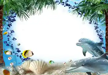 Fotoefect din categoria Vară № 1580