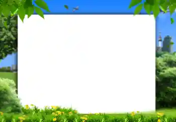 Fotoefect din categoria Vară № 158421 Fotoefect din categoria Vară № 158421