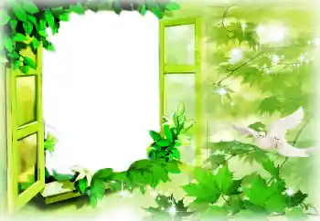 Fotoefect din categoria Vară № 164788