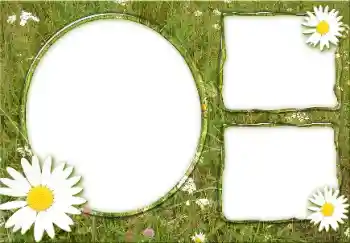 Fotoefect din categoria Vară № 166475