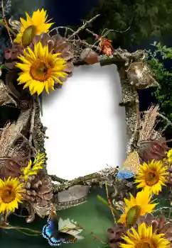 Fotoefect din categoria Vară № 167902
