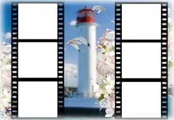 Fotoefect din categoria Vară № 167969