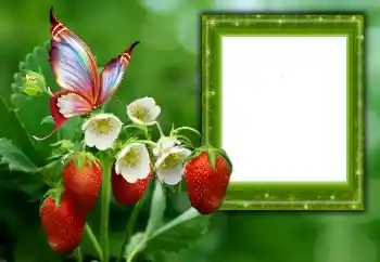 Fotoefect din categoria Vară № 168002