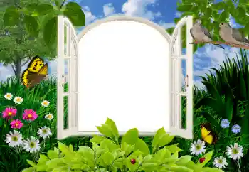 Fotoefect din categoria Vară № 16945