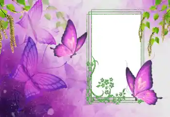 Fotoefect din categoria Vară № 179562