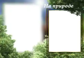 Fotoefect din categoria Vară № 182141. Inscripție pe ramă: În natură