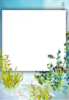 Fotoefect din categoria Vară № 182182