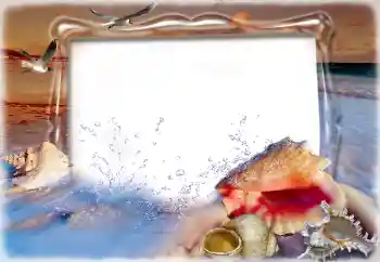 Fotoefect din categoria Vară № 198832