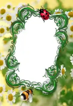 Fotoefect din categoria Vară № 2253