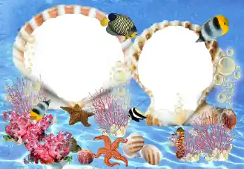 Fotoefect din categoria Vară № 23210