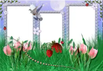 Fotoefect din categoria Vară № 2396