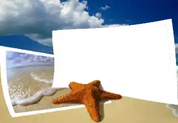 Fotoefect din categoria Vară № 25435
