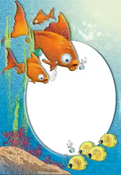 Fotoefect din categoria Vară № 26492