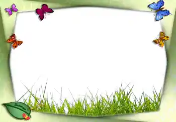 Fotoefect din categoria Vară № 2756 Fotoefect din categoria Vară № 2756