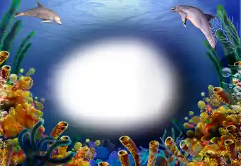 Fotoefect din categoria Vară № 31770