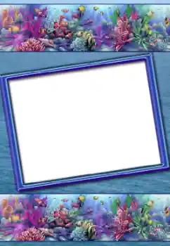 Fotoefect din categoria Vară № 31794