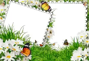 Fotoefect din categoria Vară № 31861