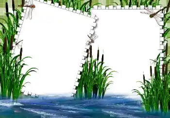 Fotoefect din categoria Vară № 31862