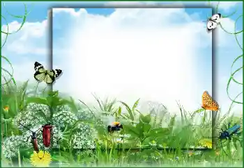 Fotoefect din categoria Vară № 50891 Fotoefect din categoria Vară № 50891