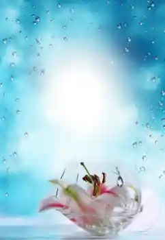Fotoefect din categoria Vară № 64487