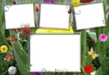 Fotoefect din categoria Vară № 66987