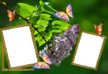 Fotoefect din categoria Vară № 81627 Fotoefect din categoria Vară № 81627