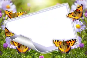 Fotoefect din categoria Vară № 83943 Fotoefect din categoria Vară № 83943