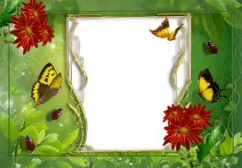 Fotoefect din categoria Vară № 8625 Fotoefect din categoria Vară № 8625