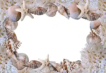Fotoefect din categoria Vară № 88088