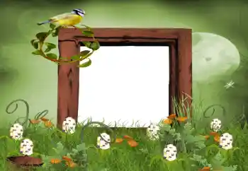 Fotoefect din categoria Vară № 9650