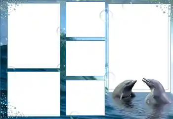 Fotoefect din categoria Vară № 9676