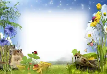 Fotoefect din categoria Vară № 97486 Fotoefect din categoria Vară № 97486