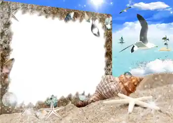 Fotoefect din categoria Vară № 987