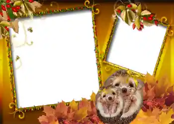 Fotoefect din categoria Toamnă № 1006