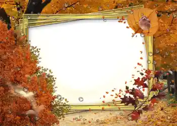 Fotoefect din categoria Toamnă № 1007