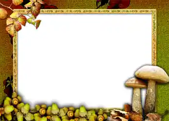 Fotoefect din categoria Toamnă № 1011